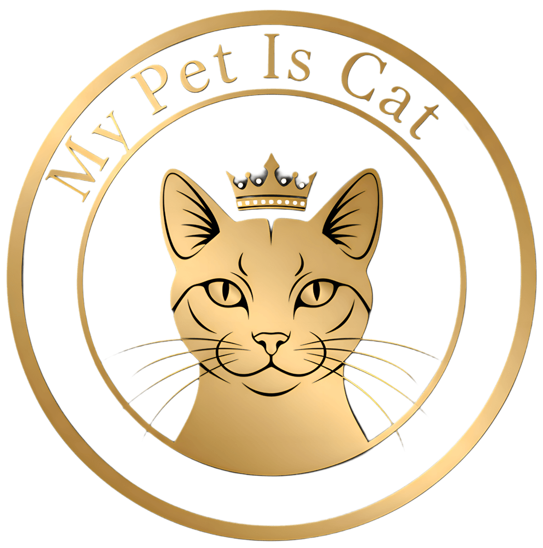 About Our Cat Hub